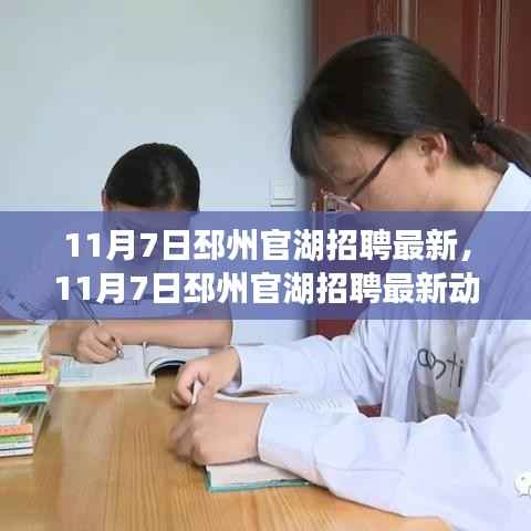 11月7日邳州官湖最新招聘动态，职场人的优选之地