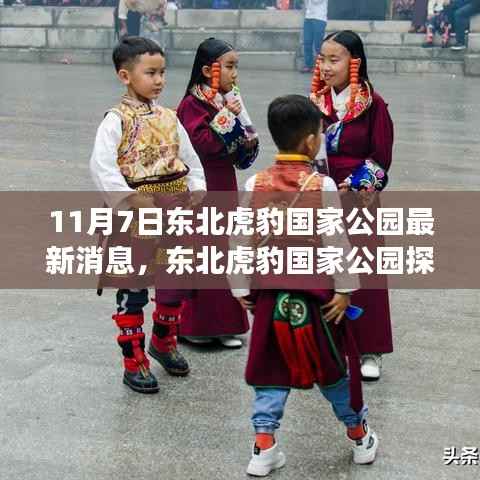 admin 第11页