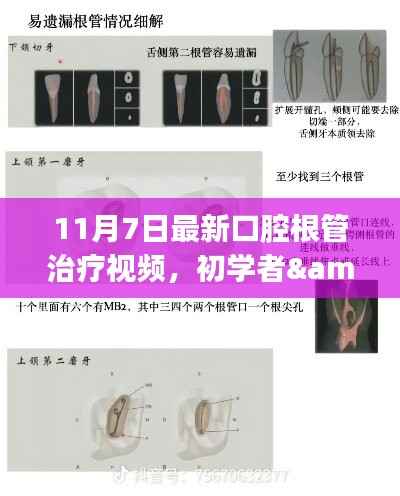 虎视眈眈 第10页