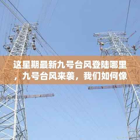 九号台风登陆地点揭秘,如何像学习变化一样拥抱挑战,扬帆起航迎接挑战