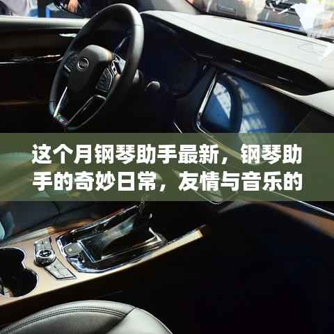 钢琴助手的温馨日常,友情与音乐的协奏曲