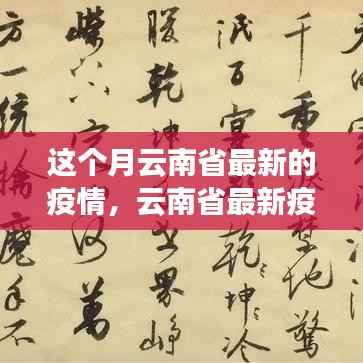 云南省最新疫情动态,一月内疫情变迁全观察