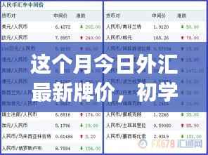 本月外汇最新牌价概览，初学者与进阶用户的查询步骤指南