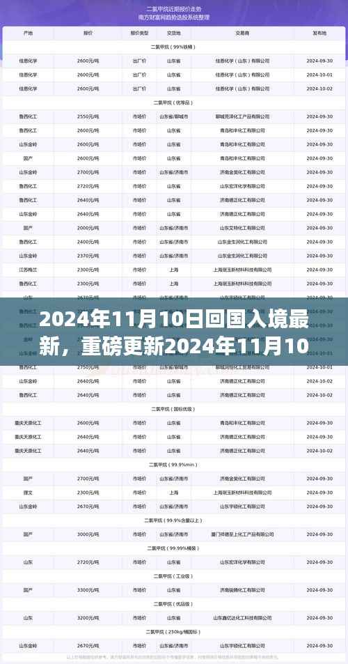 重磅更新！2024年11月10日回国入境最新政策解读，全面知晓入境须知