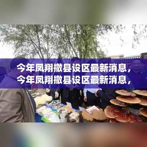 凤翔撤县设区最新动态,揭秘背后的故事与未来展望