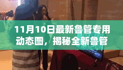 揭秘全新鲁管专用动态图,科技巅峰之作引领智能生活新纪元风潮