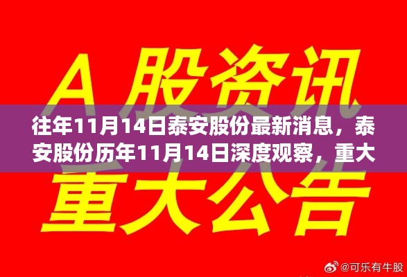 泰安股份历年11月14日深度观察,重大事件回顾与领域地位重塑的历程梳理