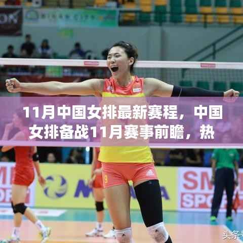 中国女排备战11月赛事前瞻,热血赛程揭秘与期待的目光