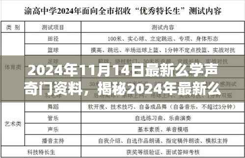 揭秘，最新么学声奇门资料探索未知领域前沿知识（2024年11月版）