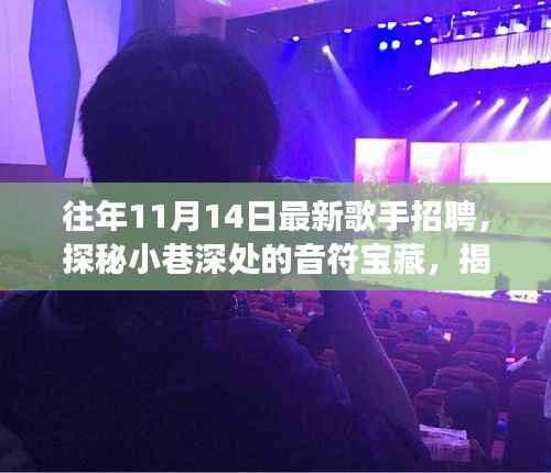 探秘十一月十四日最新歌手招聘,小巷深处的音符宝藏与背后的故事揭秘