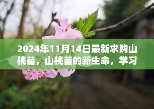 admin 第8页