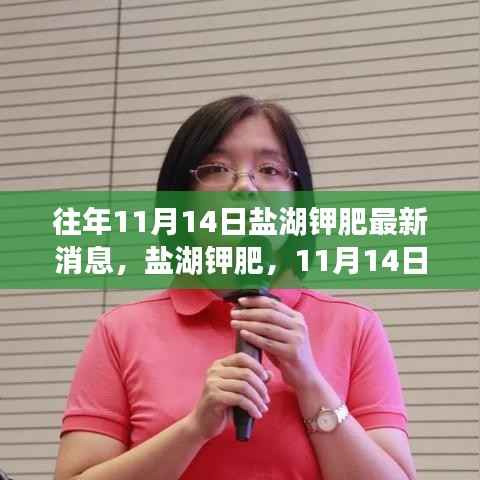 盐湖钾肥,历年11月14日历程与影响回顾的最新消息