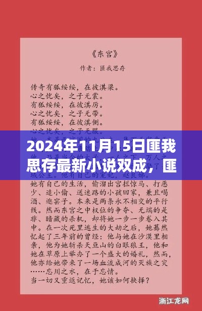 匪我思存最新小说双成阅读指南及发布日期揭晓，2024年11月15日版发布