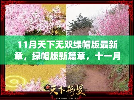 11月无双绿帽版新篇章,自然探索之旅与宁静心境的寻觅