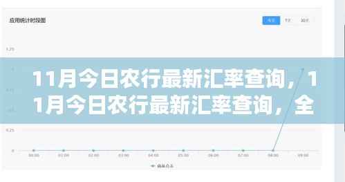 最新农行汇率评测与介绍，全面查询11月汇率走势