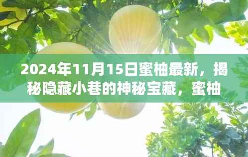 蜜柚美食冒险,揭秘隐藏小巷的神秘宝藏,独特美食之旅(2024年最新)