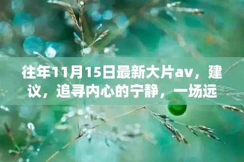 新闻中心 第333页