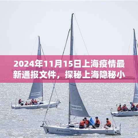 上海疫情最新通报与隐秘小巷的独特风味小店探访纪实(2024年11月)