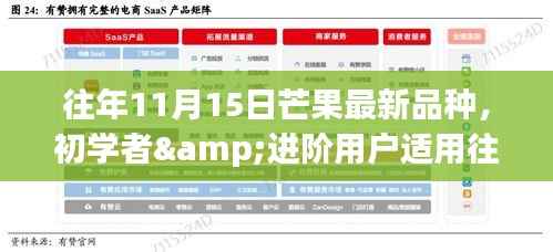 往年11月15日芒果最新品种种植指南，适合初学者与进阶用户的种植步骤