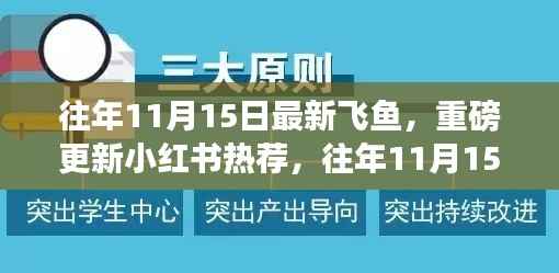 往年11月15日最新飞鱼揭秘与小红书热推独家报道！