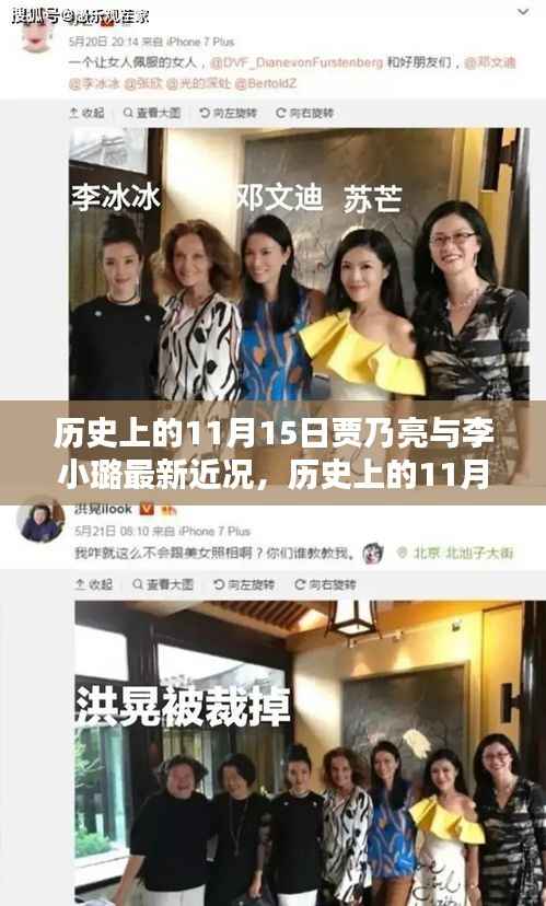 贾乃亮与李小璐11月15日最新近况概览