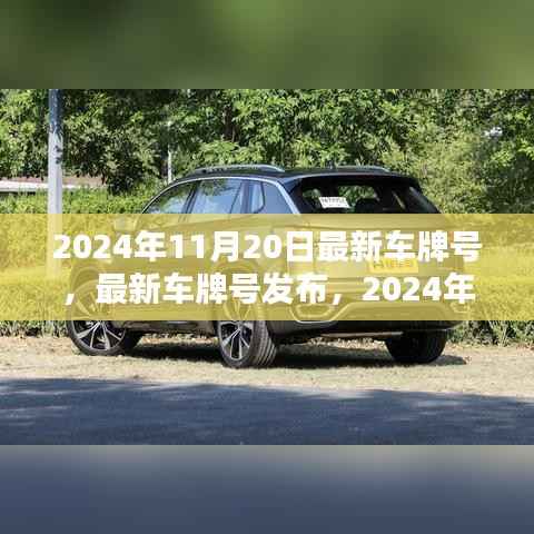 最新车牌号发布,2024年11月20日的思考及车牌号一览