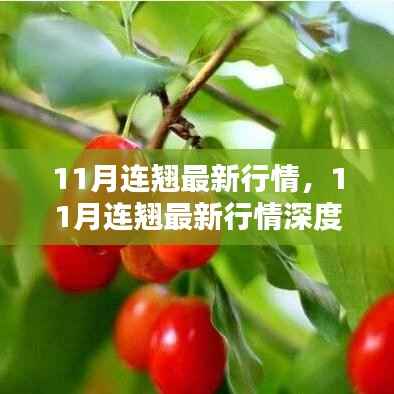 目不转睛 第6页
