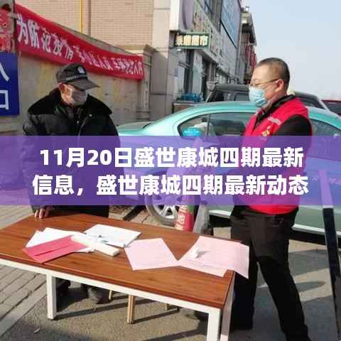 盛世康城四期最新动态揭秘,11月20日瞩目焦点信息更新