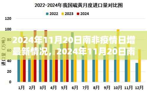 南非疫情最新动态,全面解析与前沿观察(2024年11月20日)