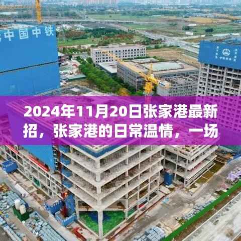 张家港招聘奇遇，温情日常与友情的绽放时刻（2024年11月20日）