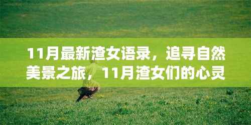 11月最新渣女语录,追寻自然美景之旅,11月渣女们的心灵出走语录