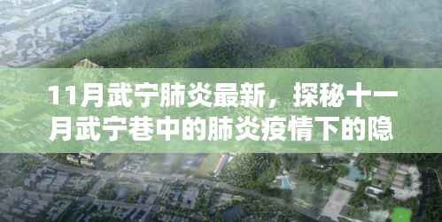 十一月武宁肺炎疫情揭秘,疫情之下的隐藏瑰宝