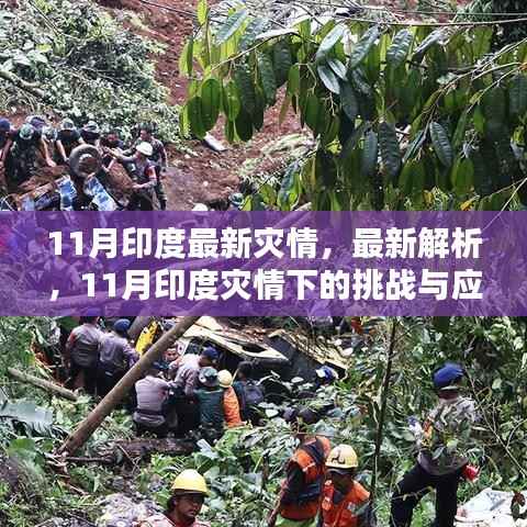 11月印度灾情深度解析,挑战、应对与评测介绍