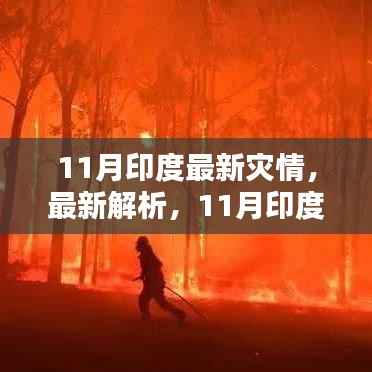 11月印度灾情深度解析,挑战、应对与评测介绍