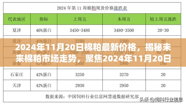 揭秘棉粕市场走势,最新价格分析与未来趋势预测(2024年11月20日)