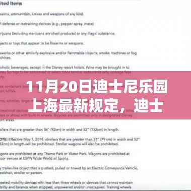迪士尼乐园上海最新规定详解,顺利入园体验指南