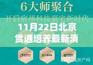 北京贯通培养最新动态揭秘,迎来新篇章,11月22日最新消息速递