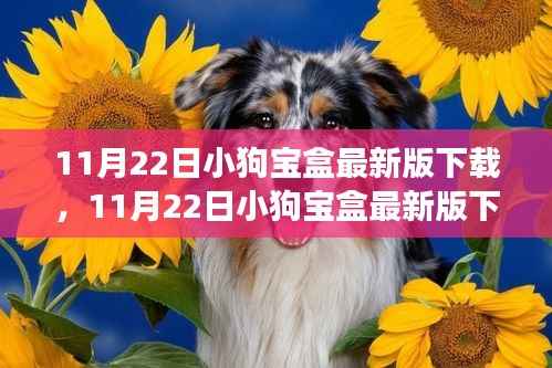 11月22日小狗宝盒最新版下载,11月22日小狗宝盒最新版下载攻略,体验全新功能与特色