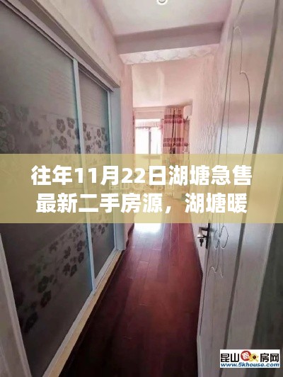 往年11月22日湖塘急售最新二手房源,湖塘暖家,11月22日急售二手房的奇遇与温情故事