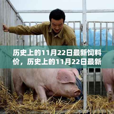 精品展示 第312页