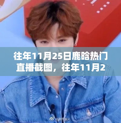 重温鹿晗往年直播盛况,星光璀璨的瞬间回顾