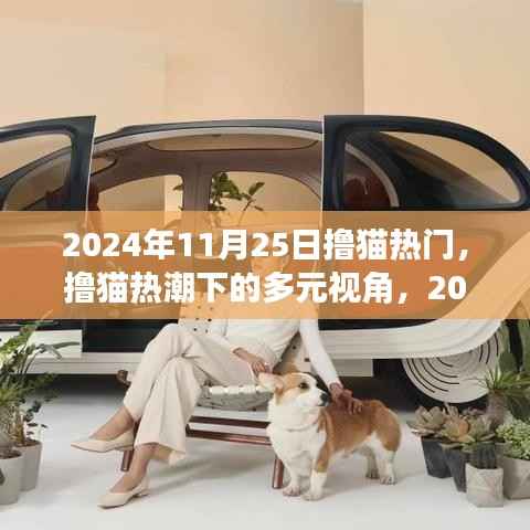 撸猫热潮下的多元视角,2024年11月25日的观察与思考