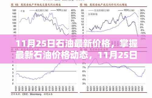 11月25日石油最新价格,掌握最新石油价格动态,11月25日石油价格查询与理解步骤指南(初学者与进阶用户适用)