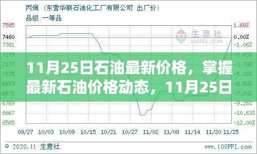11月25日石油最新价格,掌握最新石油价格动态,11月25日石油价格查询与理解步骤指南(初学者与进阶用户适用)