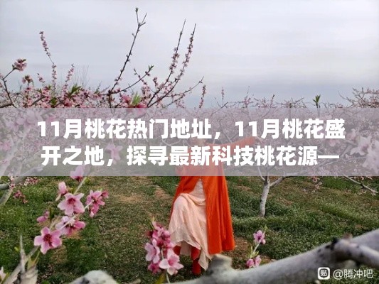 探寻智能桃花生活体验机,揭秘十一月桃花盛开之地的科技桃花源