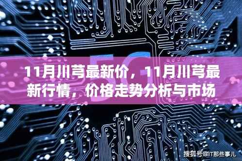 11月川芎最新价,11月川芎最新行情,价格走势分析与市场洞察