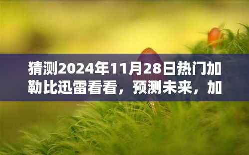 加勒比迅雷看看,预测未来热门趋势与2024年展望