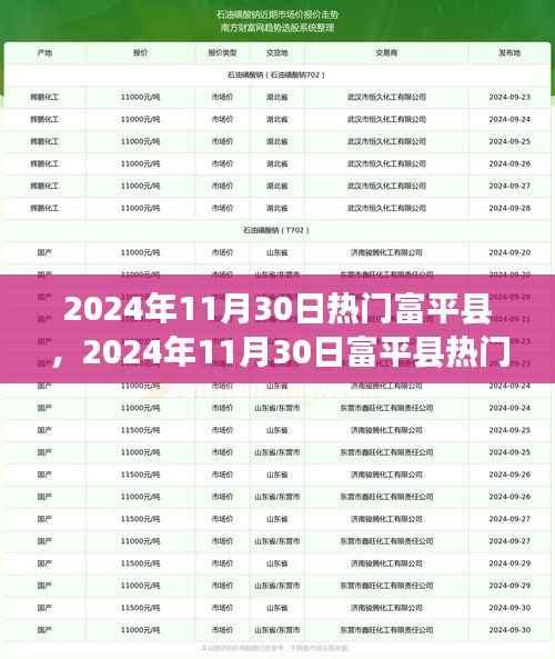 2024年11月30日热门富平县,2024年11月30日富平县热门探秘,繁荣背后的故事