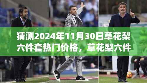 草花梨六件套未来趋势展望与热门价格猜想,2024年高科技新体验预测报告
