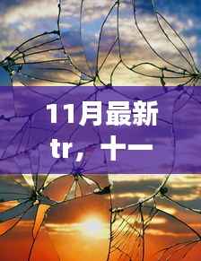 11月最新tr,十一月,与TR共舞自然,探寻内心平静的奇妙之旅